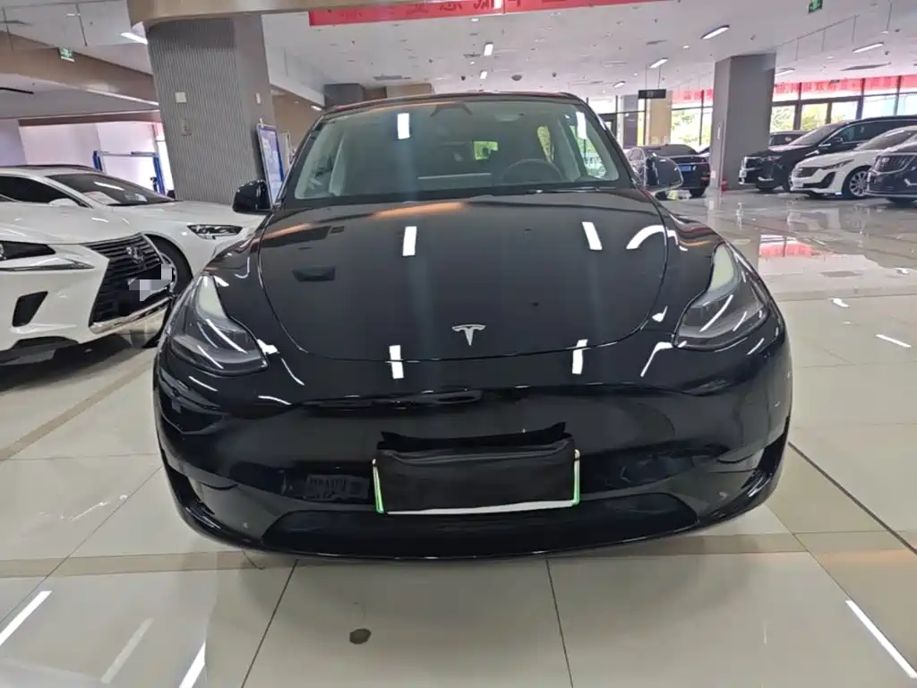Tesla Model Y — миниатюра 3