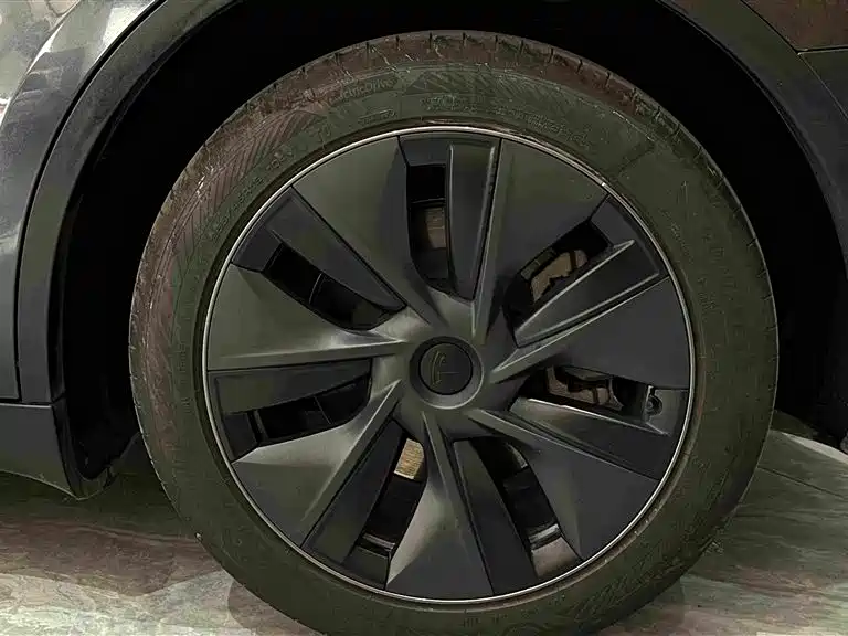 Tesla Model Y — миниатюра 15