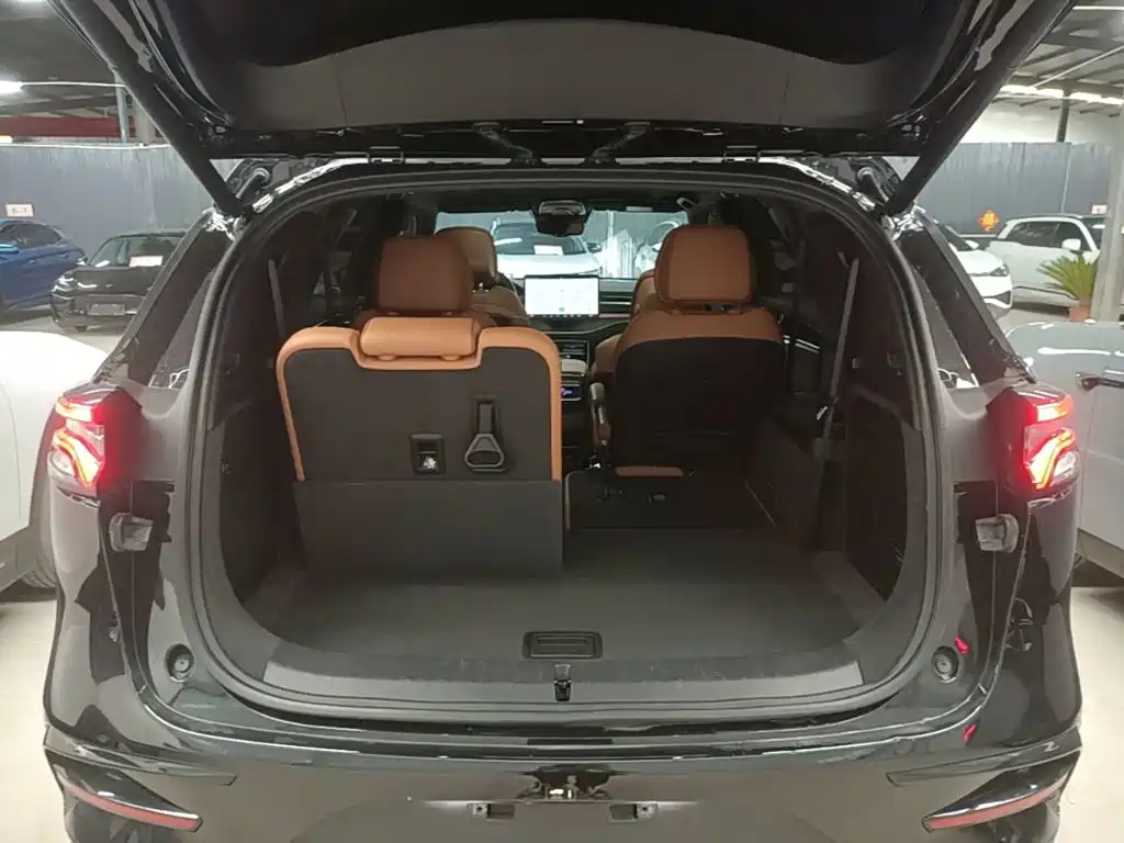 BYD Tang New Energy — миниатюра 19