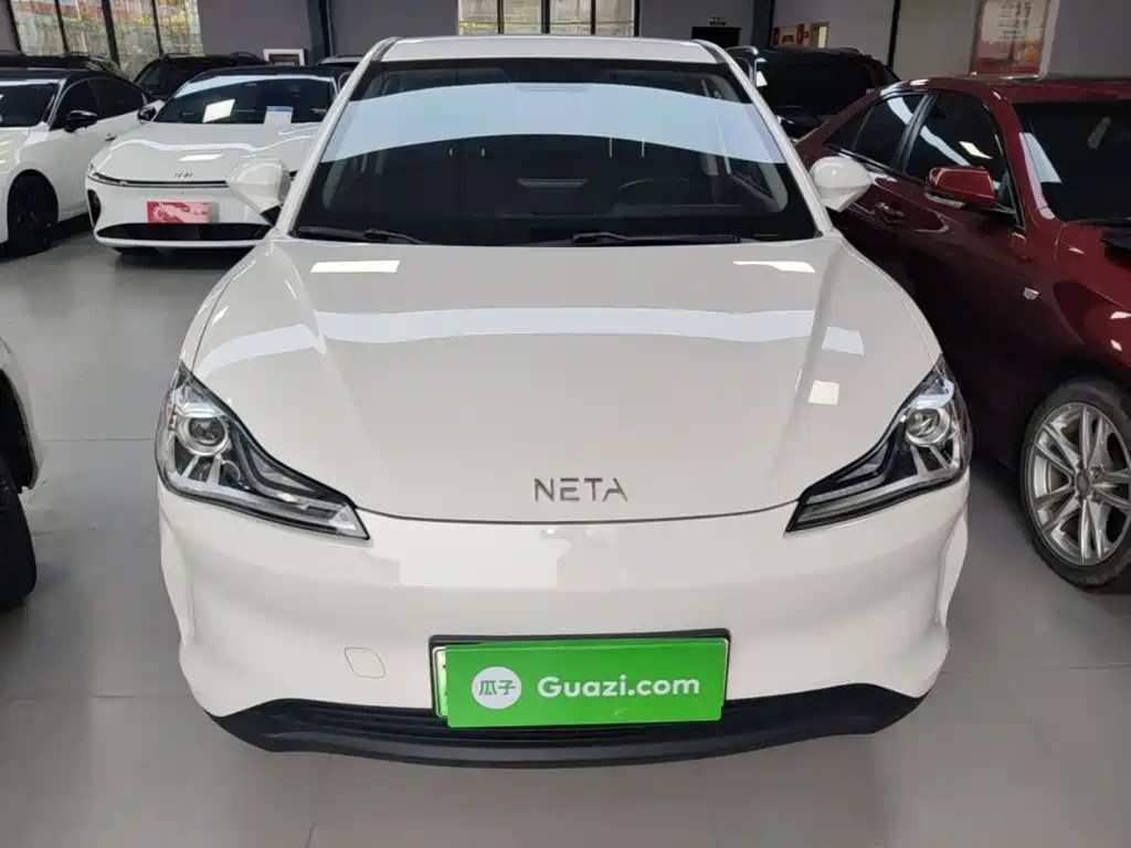 Neta Neta V — миниатюра 3