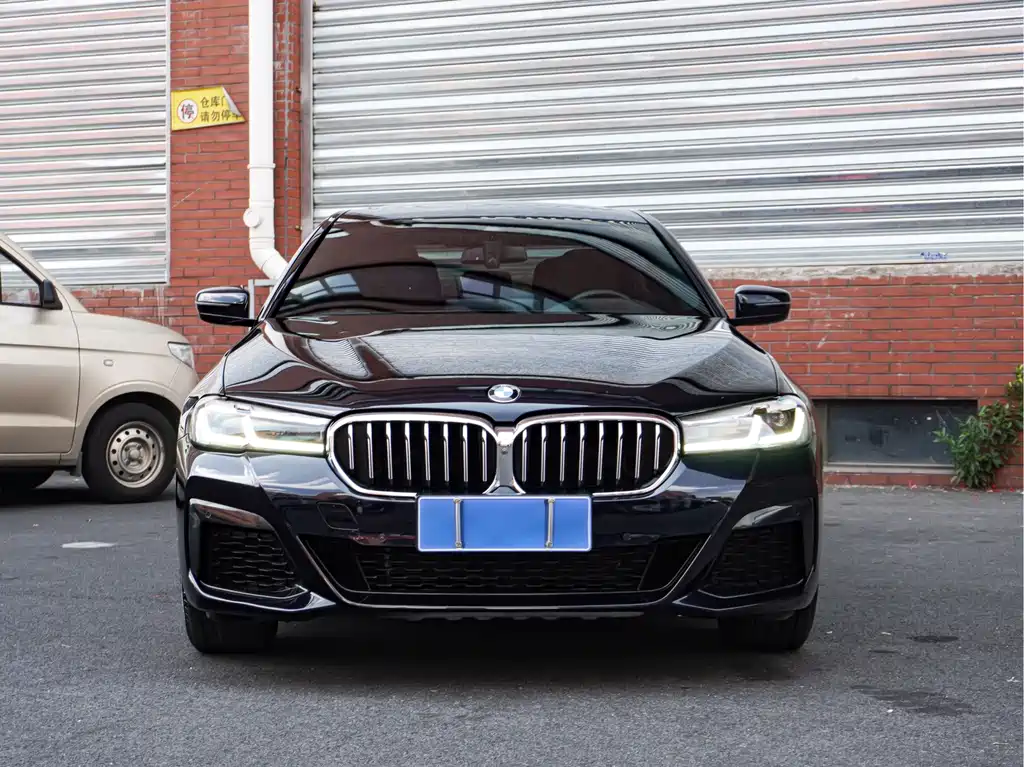 BMW 5 Series — миниатюра 4