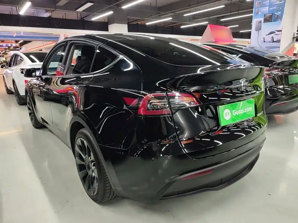 Tesla Model Y — миниатюра 5