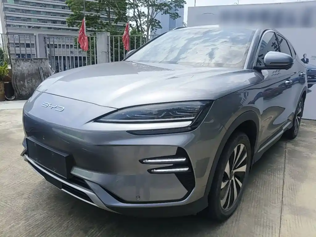 BYD PLUS New Energy — миниатюра 2