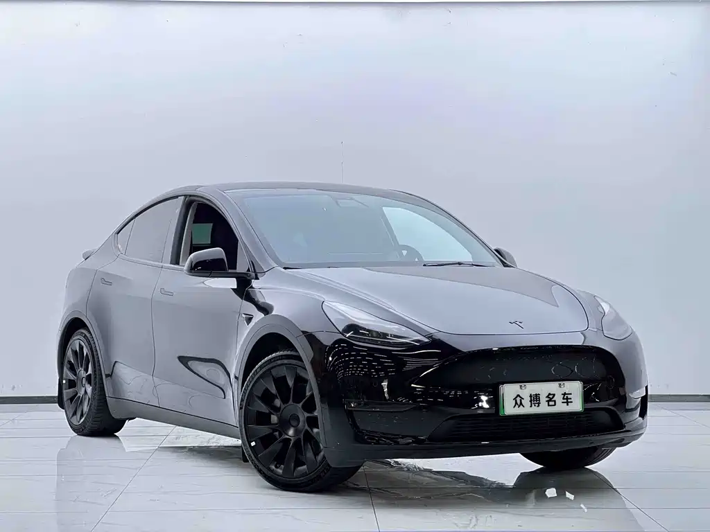 Tesla Model Y — миниатюра 3
