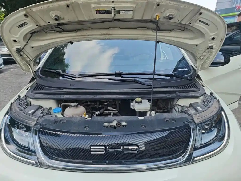BYD Dolphin — миниатюра 20