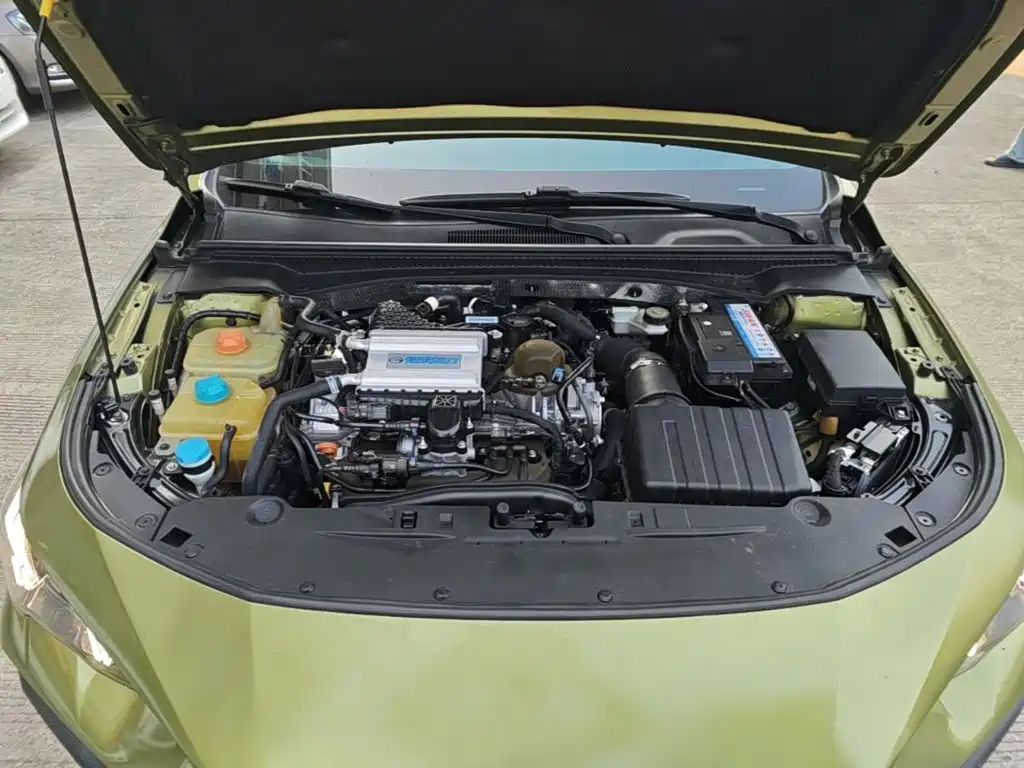 GAC Motor Shadow Leopard — миниатюра 20