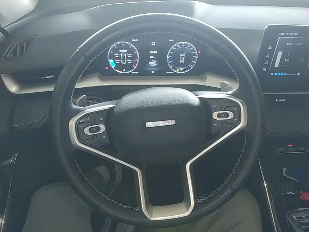 Haval H6 — миниатюра 11