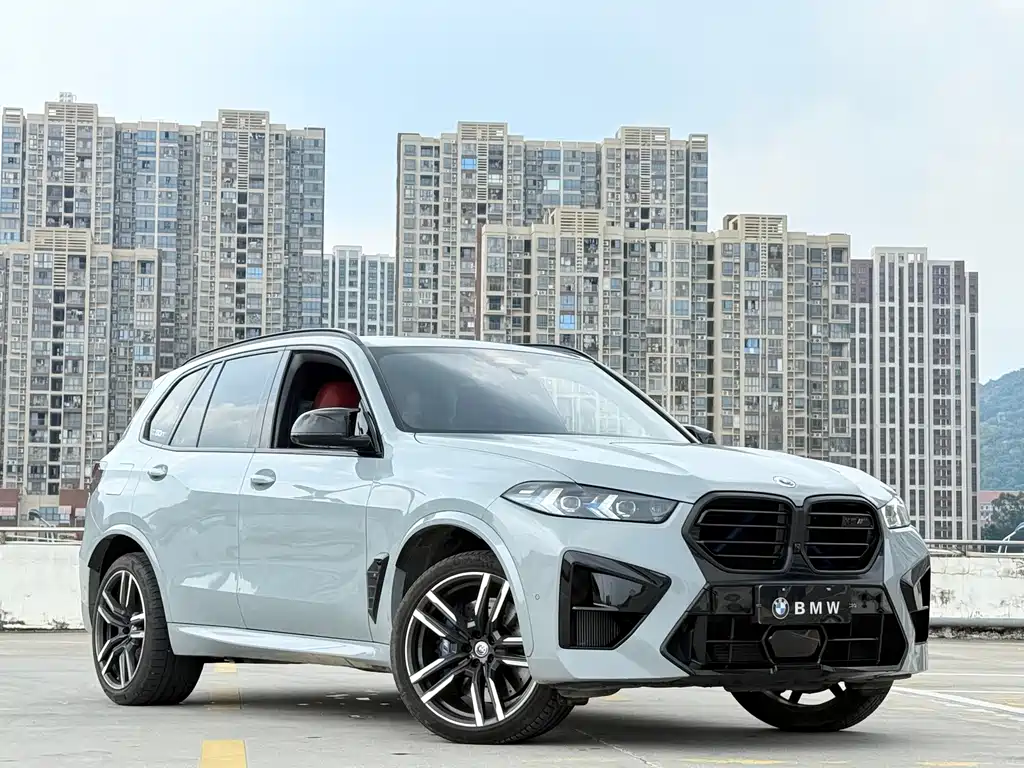 BMW X5 M — миниатюра 3