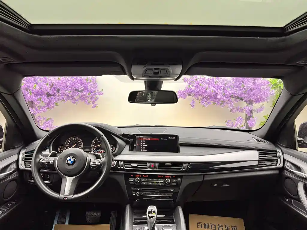 BMW X6 — миниатюра 13