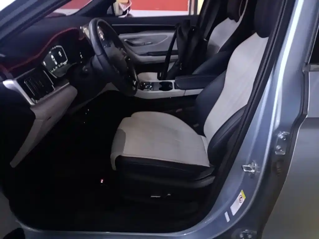 BYD PLUS New Energy — миниатюра 15