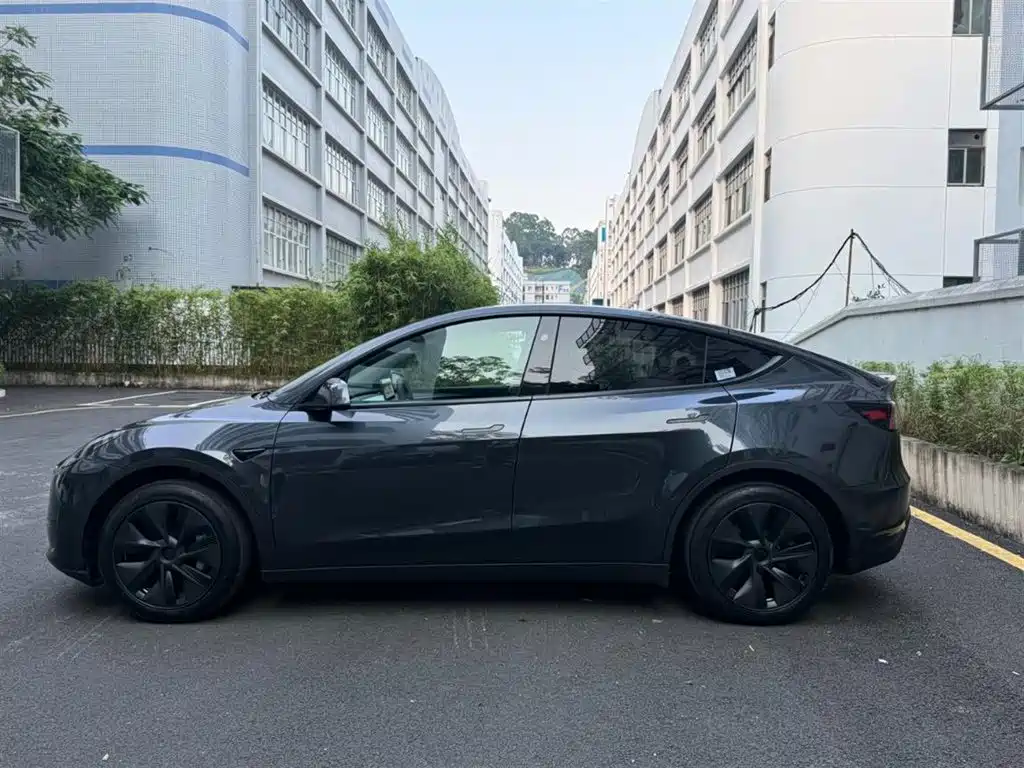 Tesla Model Y — миниатюра 9