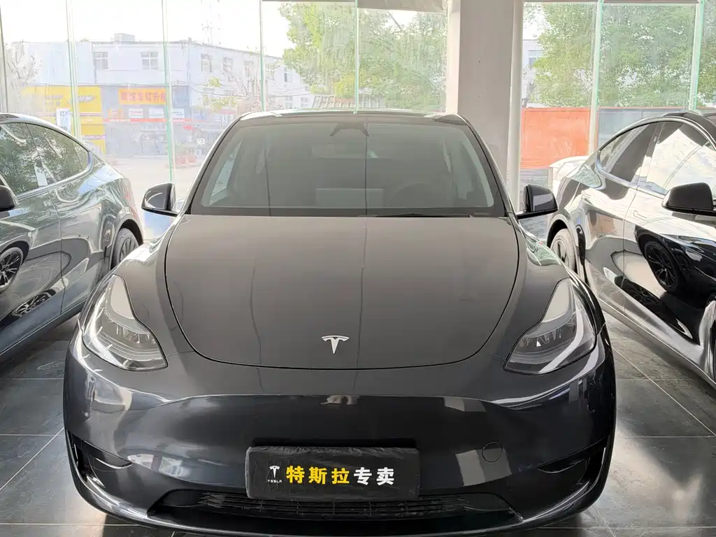 Tesla Model Y — миниатюра 2