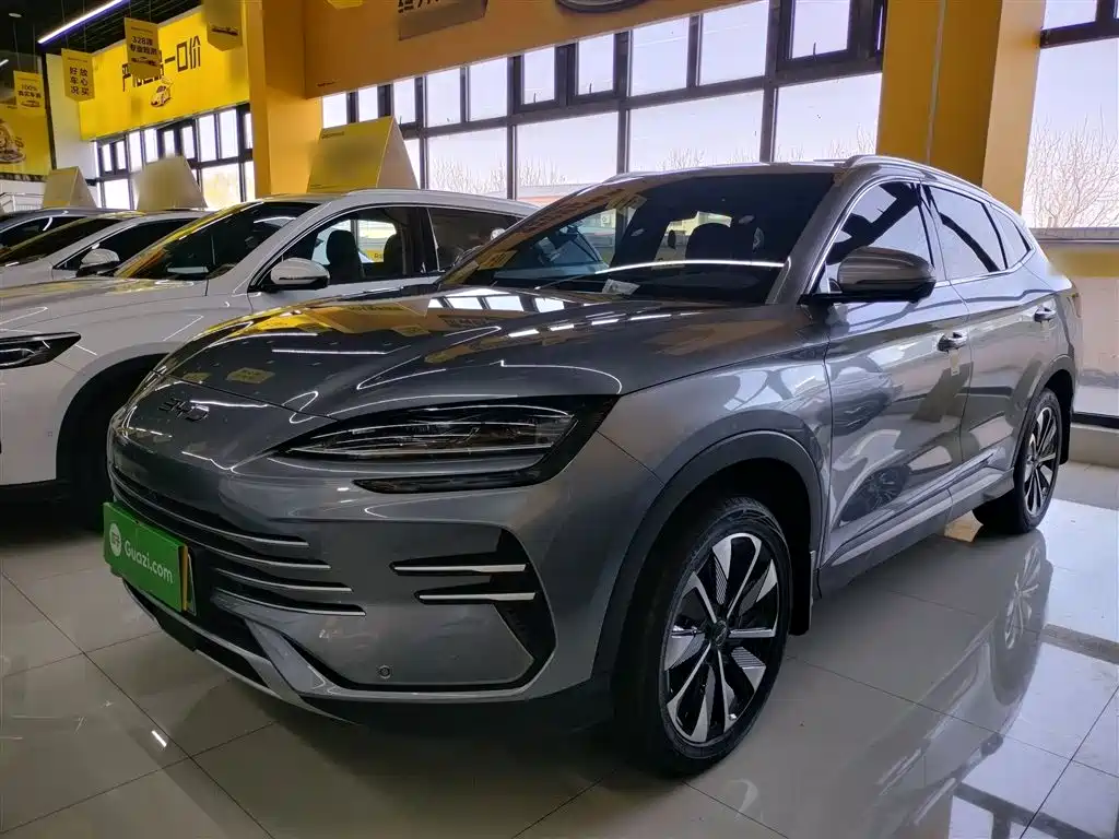Byd PLUS New Energy 2025