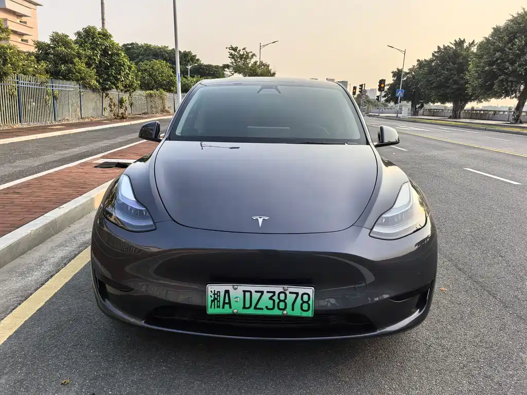 Tesla Model Y — миниатюра 2