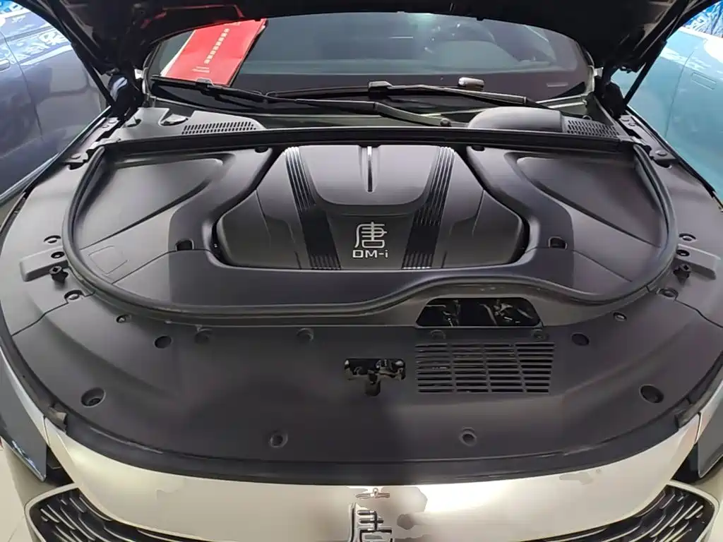 BYD Tang New Energy — миниатюра 20