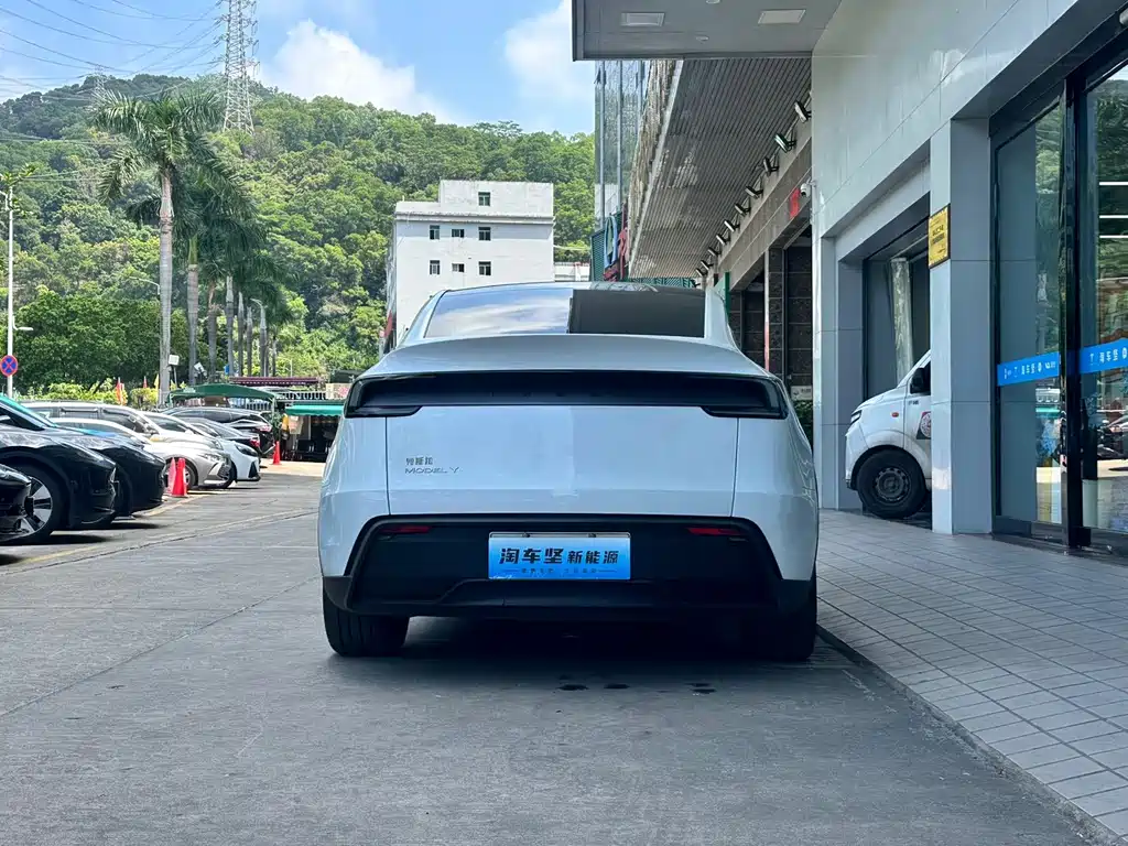 Tesla Model Y — миниатюра 5