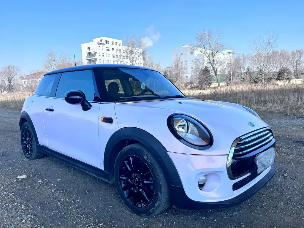 Mini Mini 2015