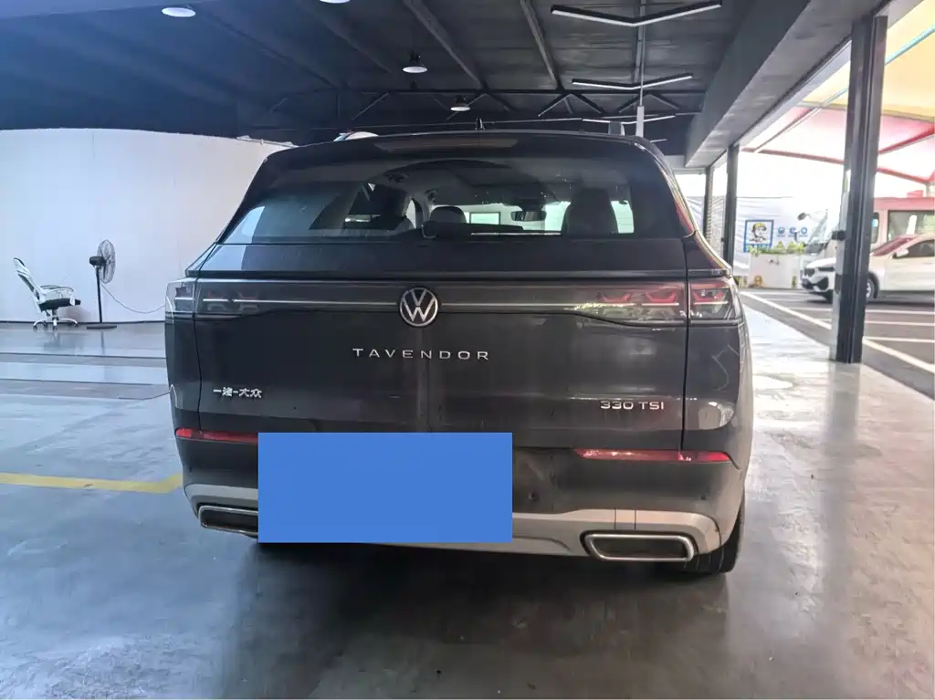 Volkswagen Tavendor — миниатюра 6