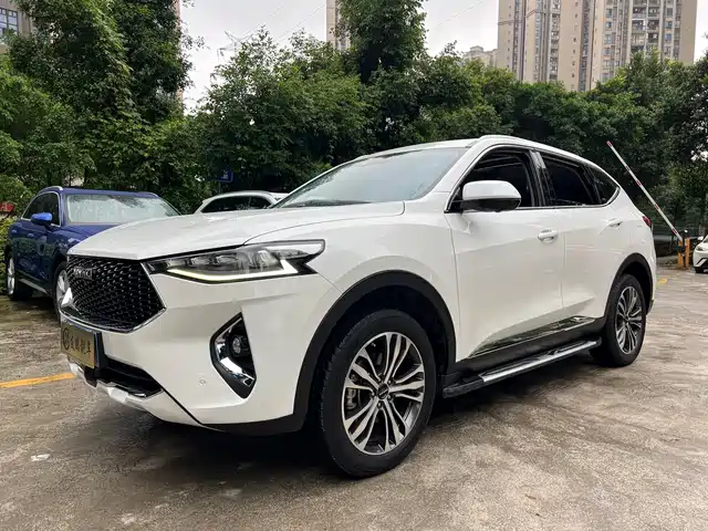 2019 Haval F7