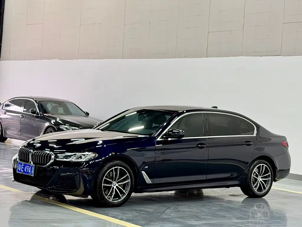 BMW 5 Series — миниатюра 3