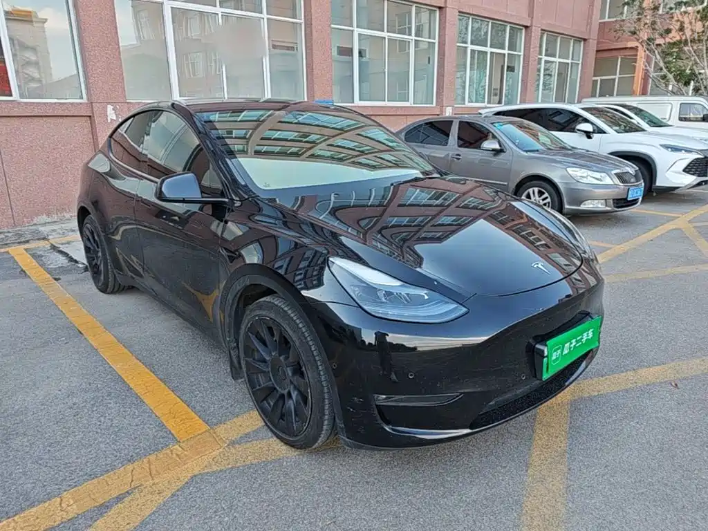 Tesla Model Y — миниатюра 4