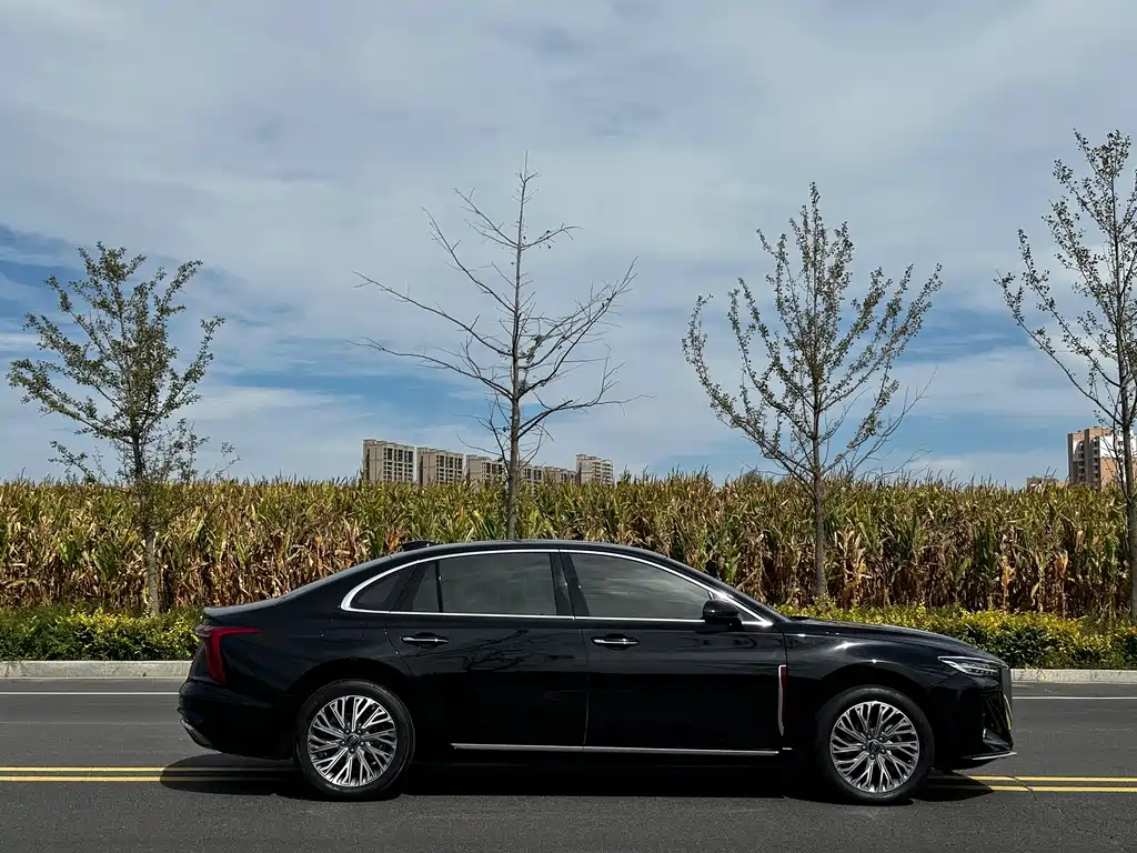 Hongqi Hongqi H5 — миниатюра 4