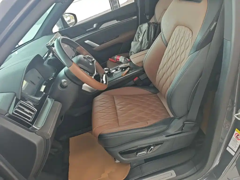 BYD Tang New Energy — миниатюра 15