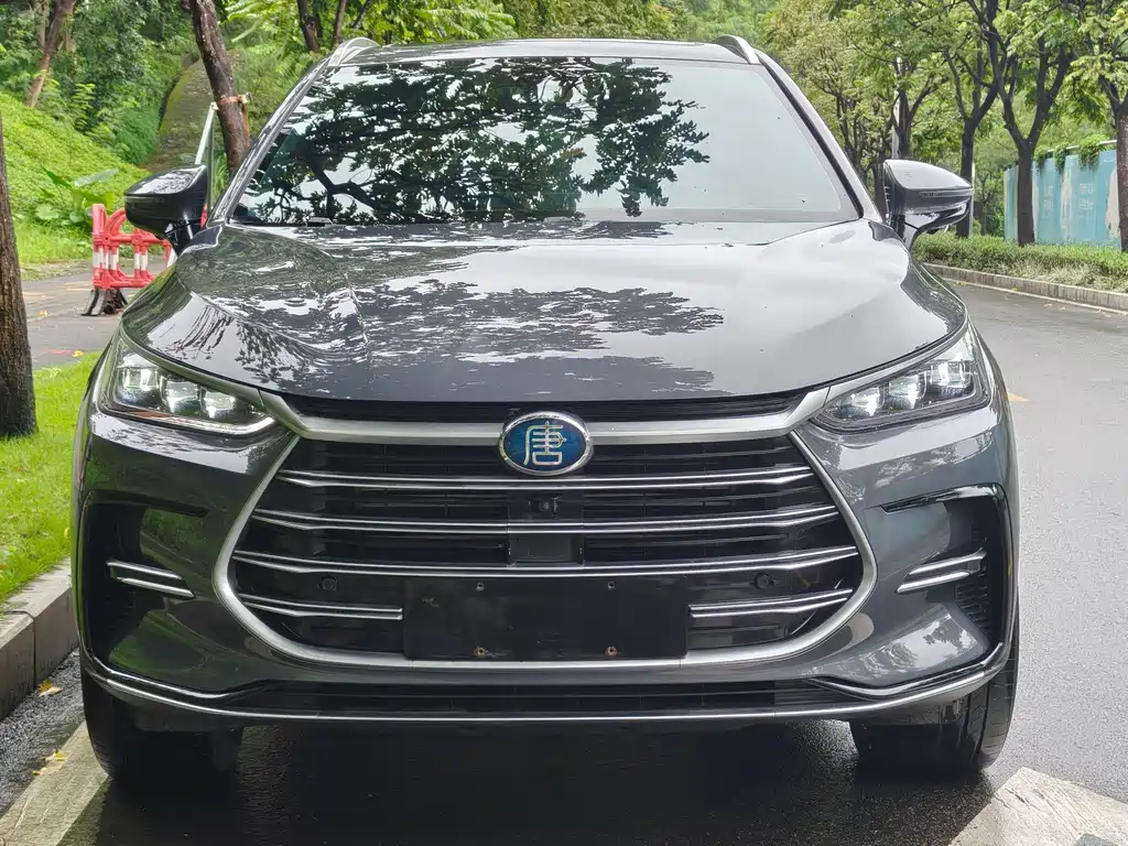 BYD Tang New Energy — миниатюра 2
