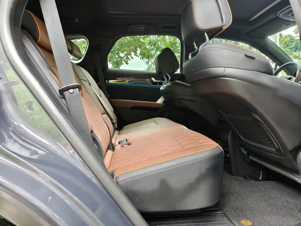 BYD Tang New Energy — миниатюра 14