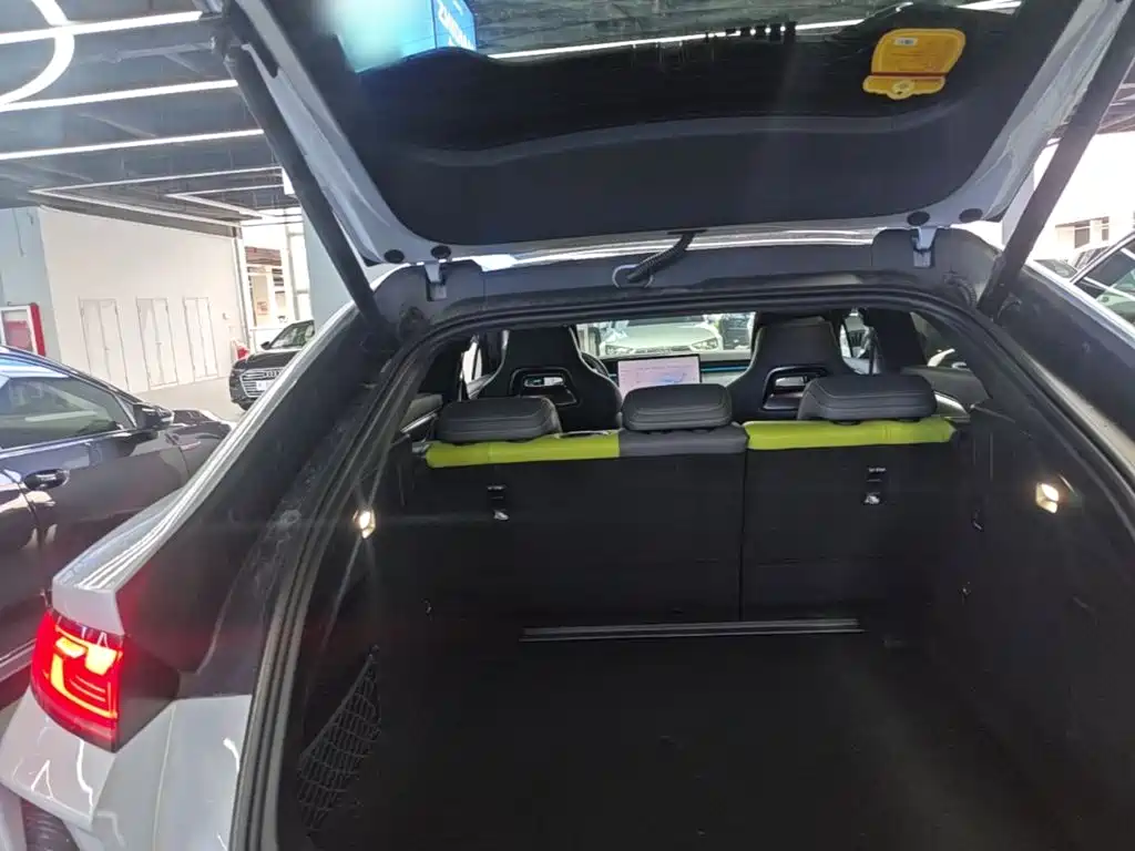BYD L EV — миниатюра 19