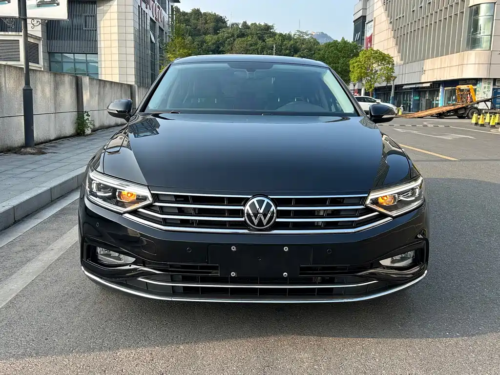 Volkswagen Magotan — миниатюра 2
