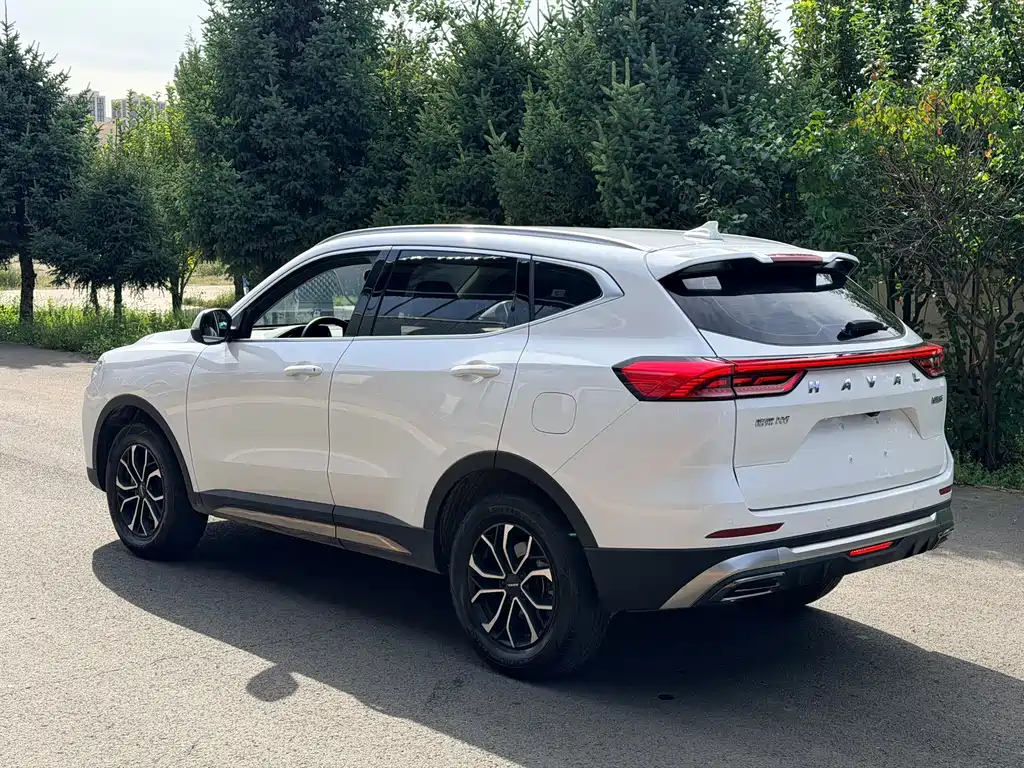 Haval H6 — миниатюра 7