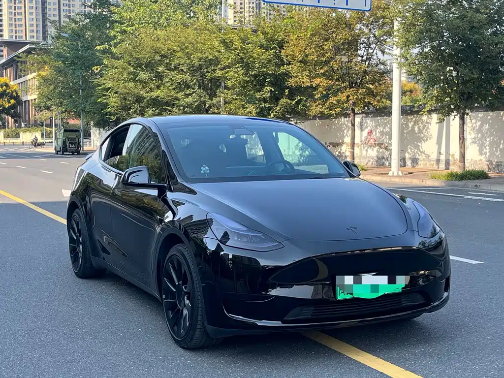 Tesla Model Y — миниатюра 4
