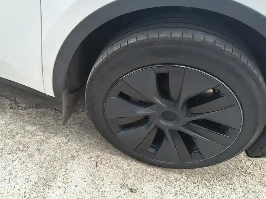 Tesla Model Y — миниатюра 6