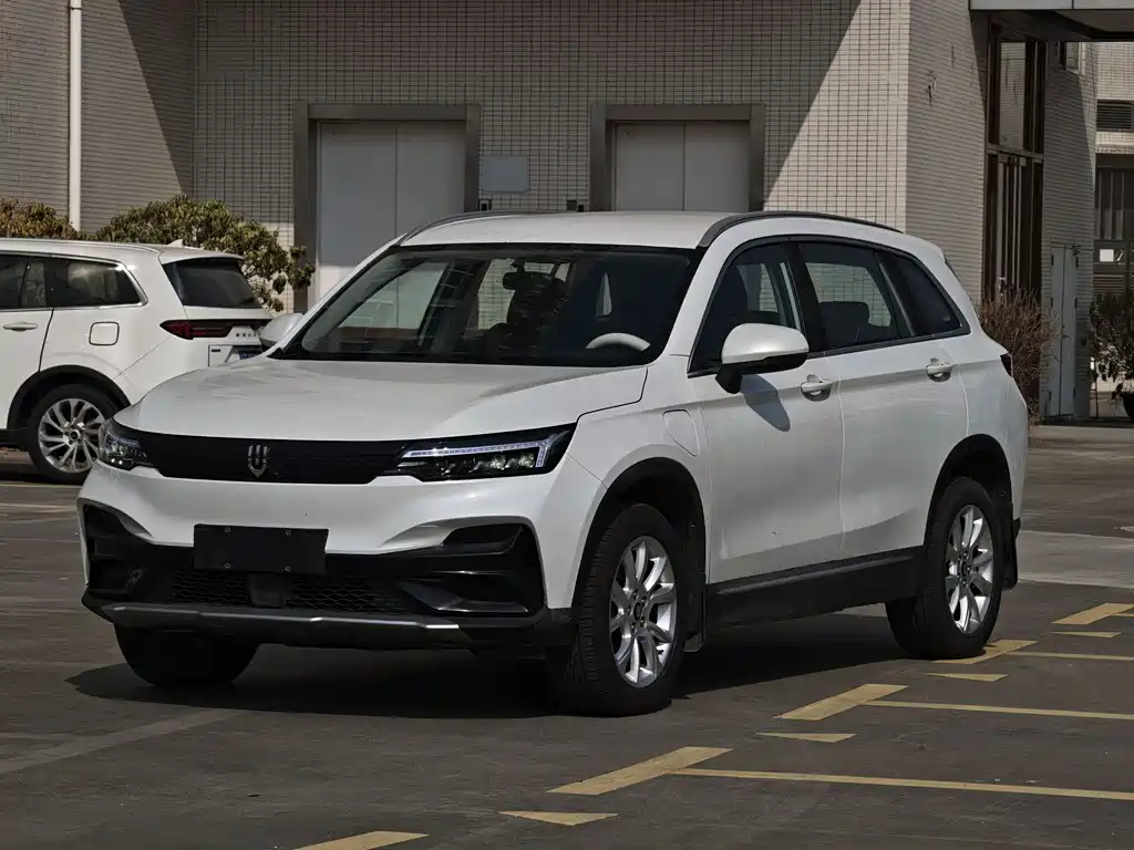 SKYWORTH AUTO SKYWORTH EV6