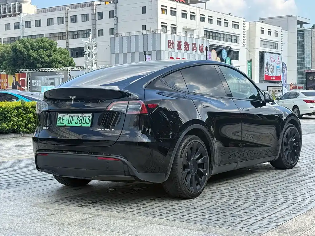 Tesla Model Y — миниатюра 9