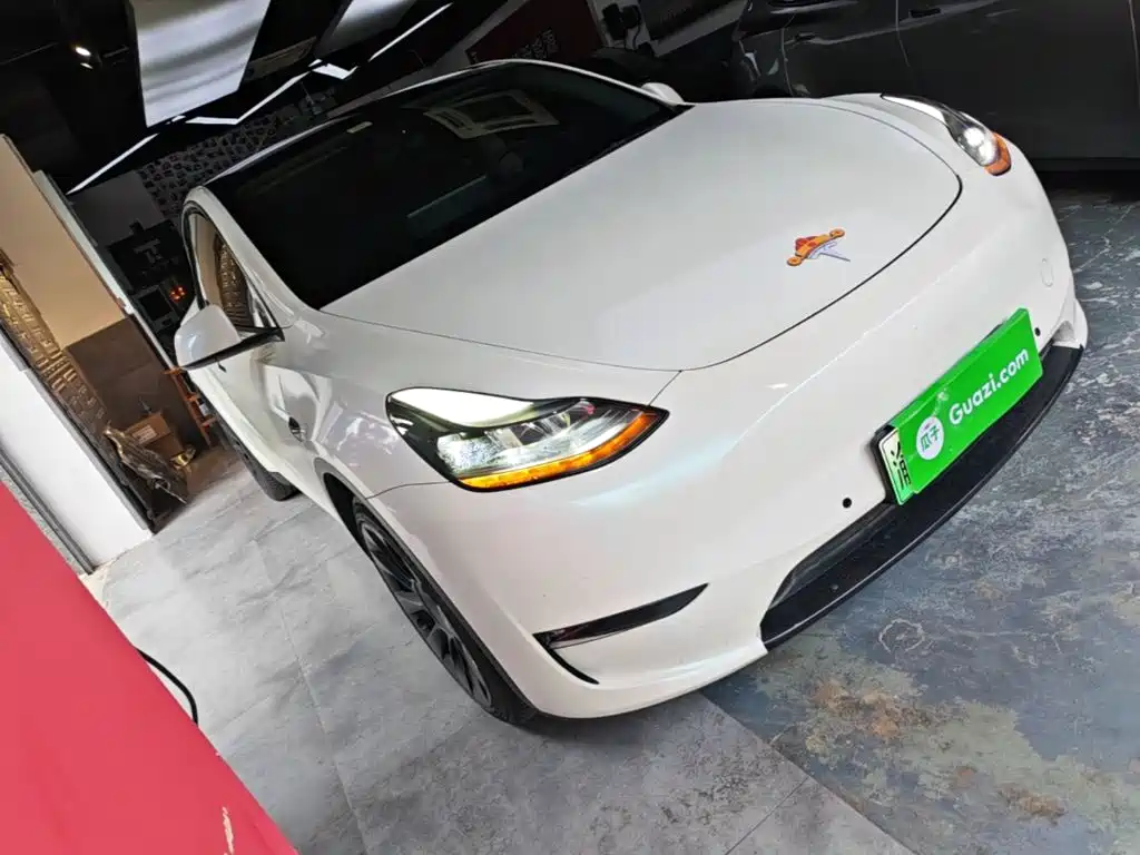 Tesla Model Y — миниатюра 4