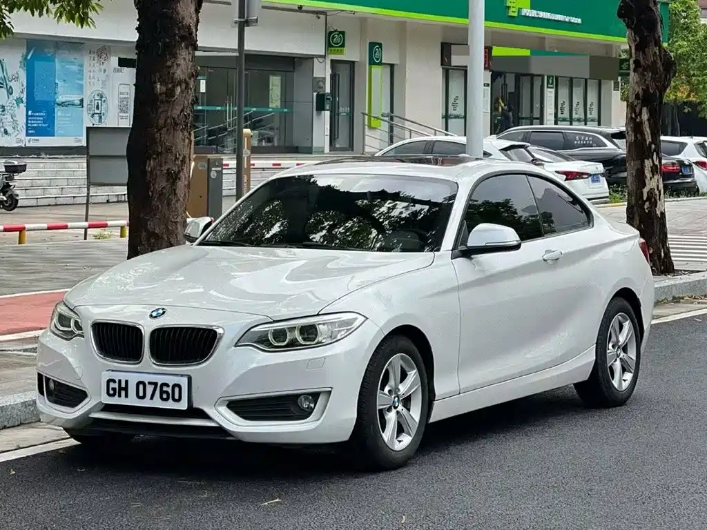 BMW 2 Series (Import)