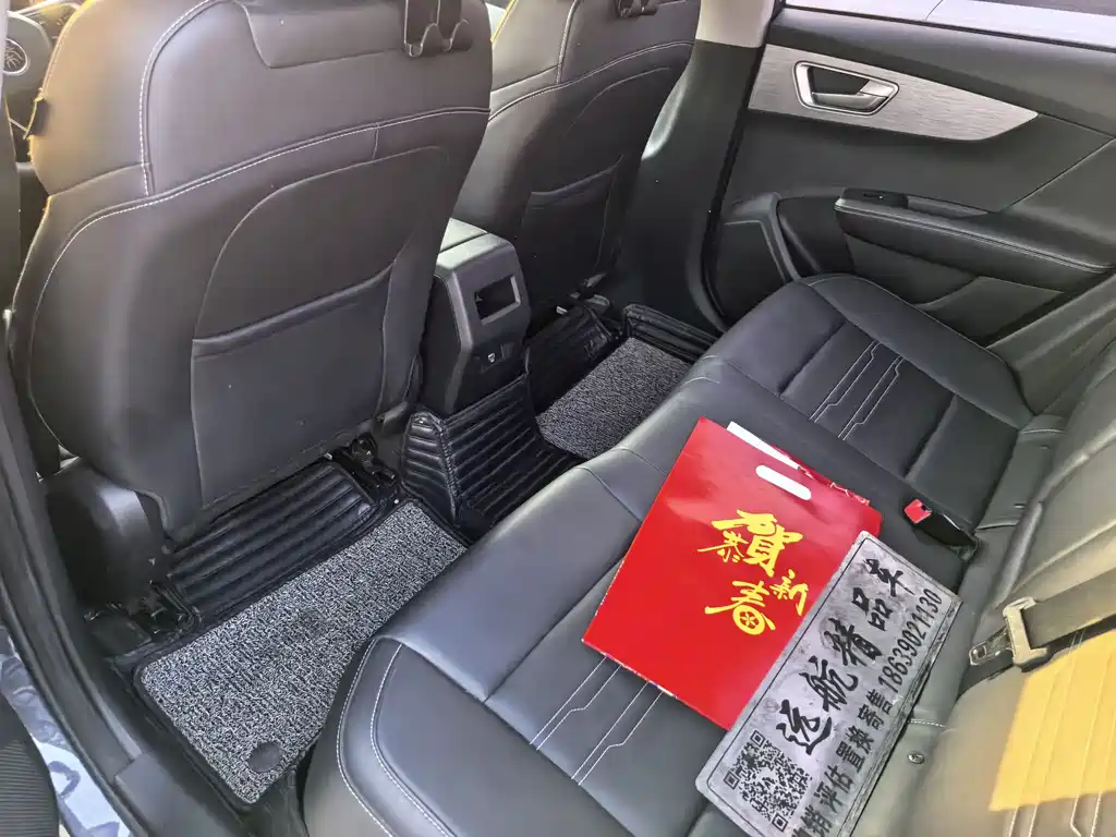 BYD Qin NEV 2019 Luxury