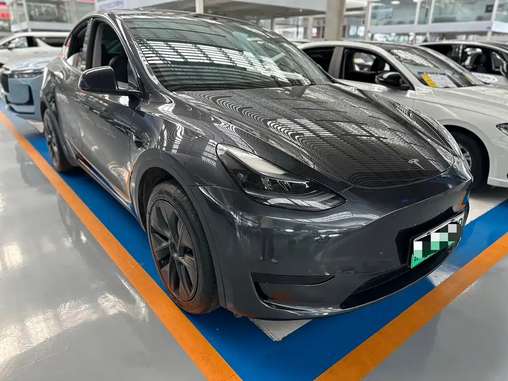 Tesla Model Y — миниатюра 3
