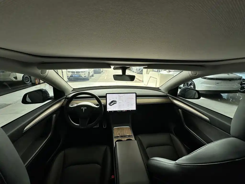 Tesla Model Y — миниатюра 8