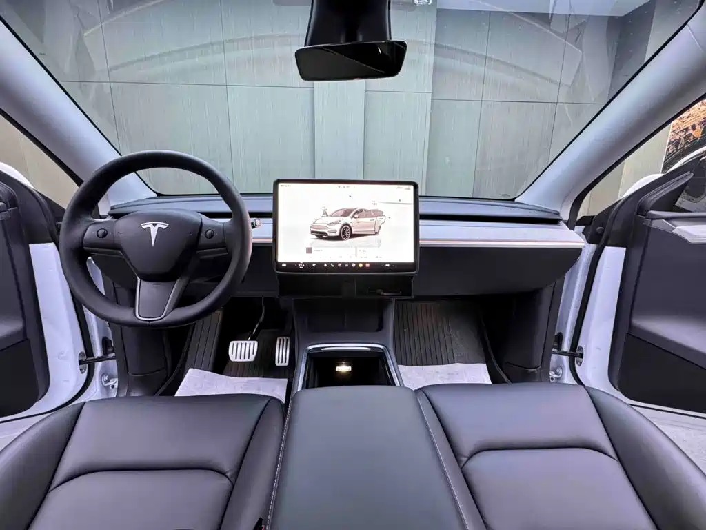 Tesla Model Y — миниатюра 10