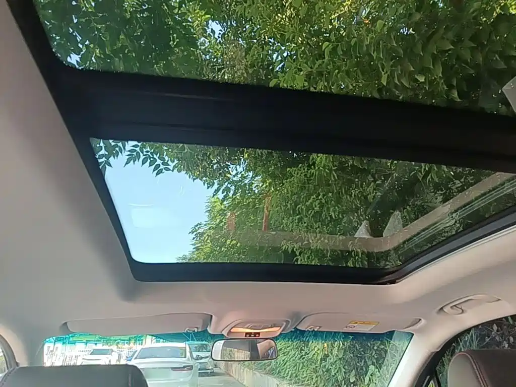 Chevrolet Volando — миниатюра 14