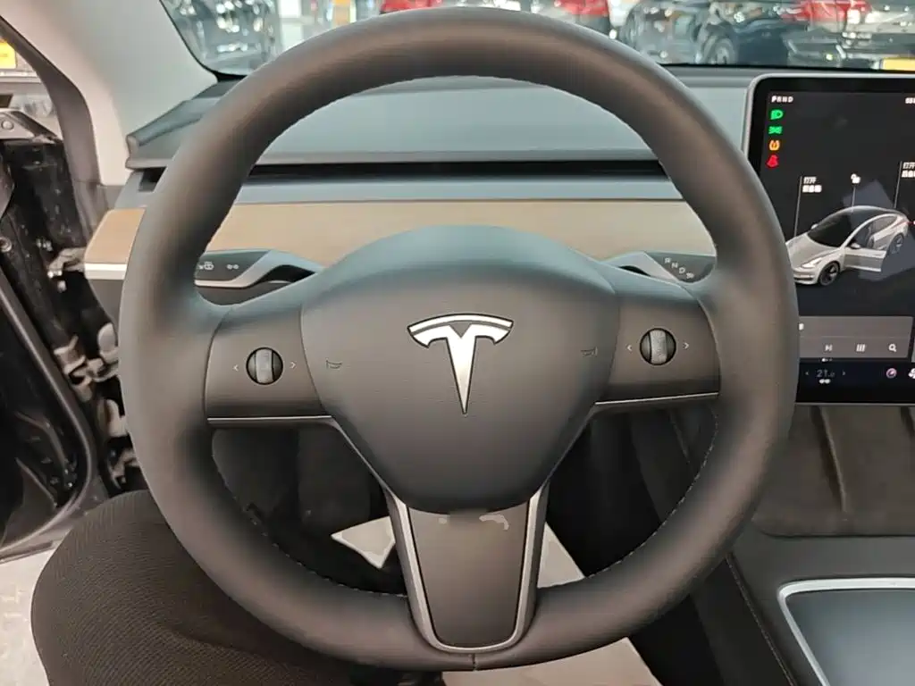 Tesla Model 3 — миниатюра 11