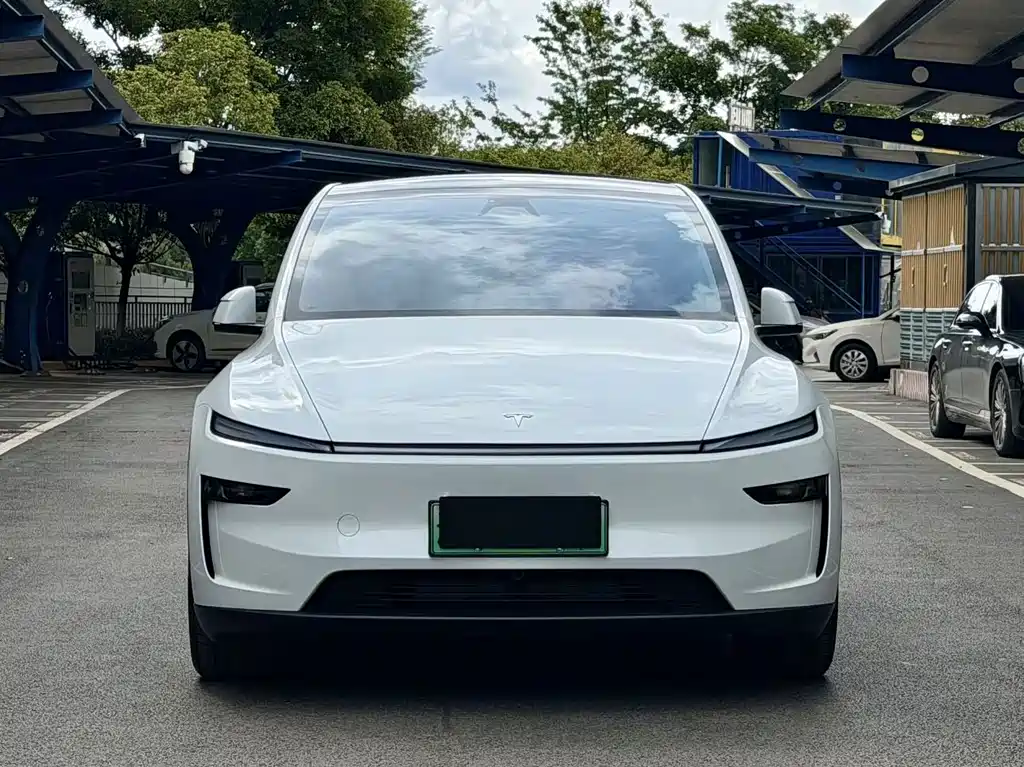 Tesla Model Y — миниатюра 2