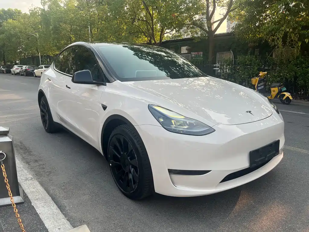 Tesla Model Y — миниатюра 3