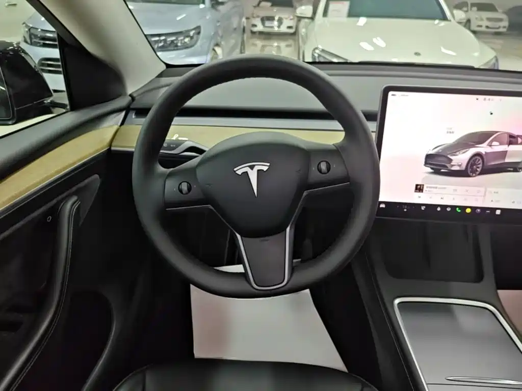Tesla Model Y — миниатюра 11