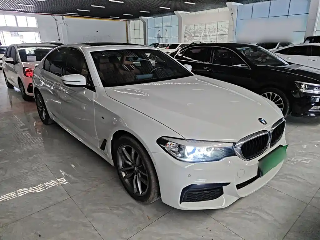 BMW 5 Series (Import) — миниатюра 4
