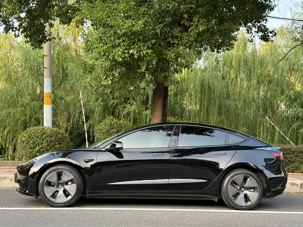 Tesla Model 3 — миниатюра 2