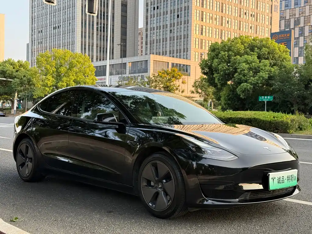 Tesla Model 3 — миниатюра 7